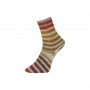 Włóczka Paint Socks 202